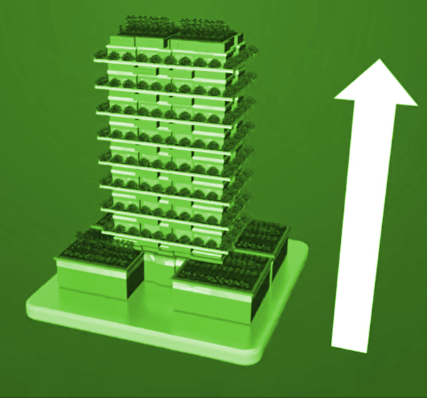 Designing for the Future: Vertical Farming