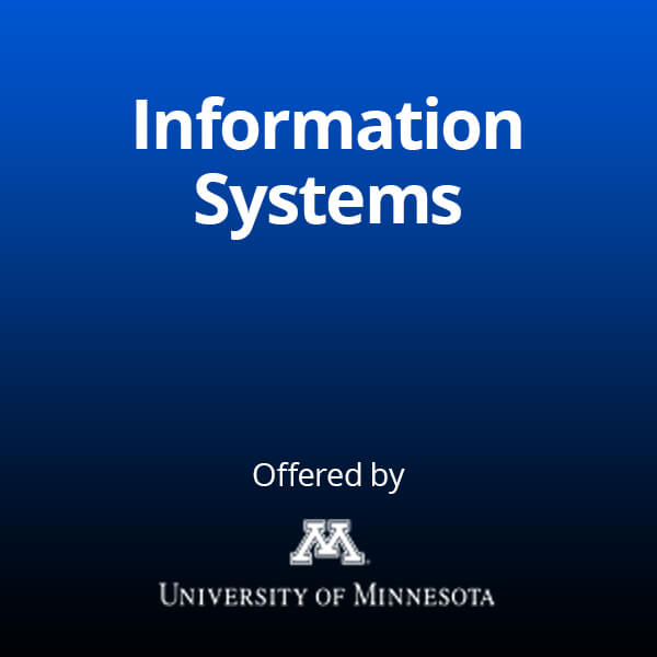Information​ ​Systems