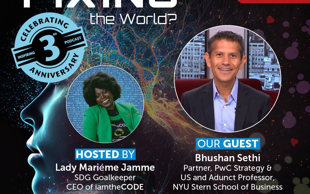 S8 E3 Who is Fixing the World? Enabling Meaningful Partnerships with Bhushan Sethi