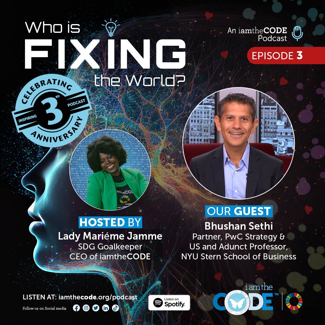 S8 E3 Who is Fixing the World? Enabling Meaningful Partnerships with Bhushan Sethi